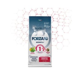 Forza 10 dog mono diet adult sensitive digestion pesce medium/large 10kg