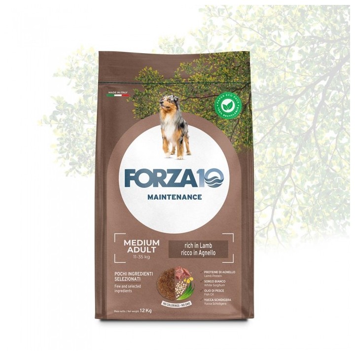 Forza10 Maintenance Adult Medium Cane (Agnello e Riso) - secco 12Kg