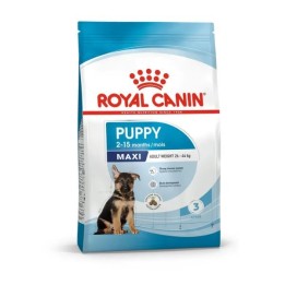 Royal Canin - Maxi Puppy Cane 10 kg