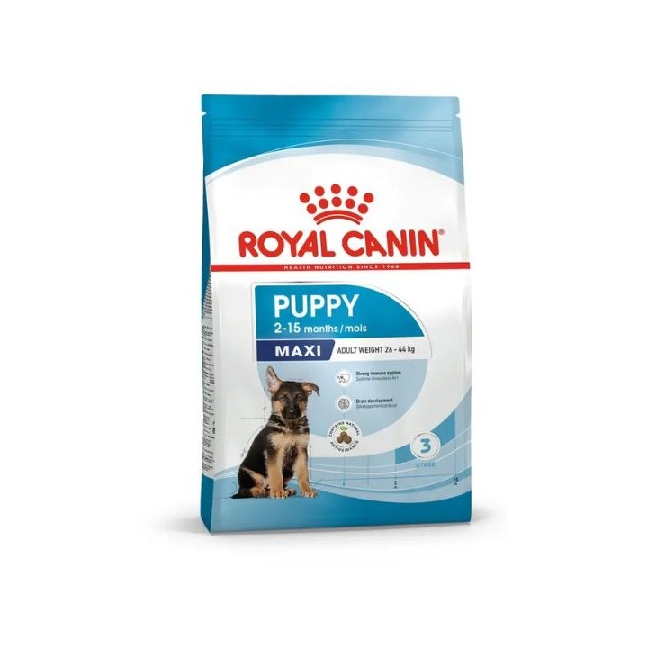 Royal Canin - Maxi Puppy Cane 10 kg