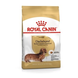 Royal Canin - Bassotto Dachshund 1,5 KG