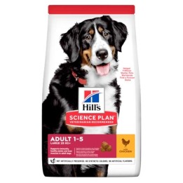 Hill's - Science Plan Adult Large Breed con Pollo 12 kg