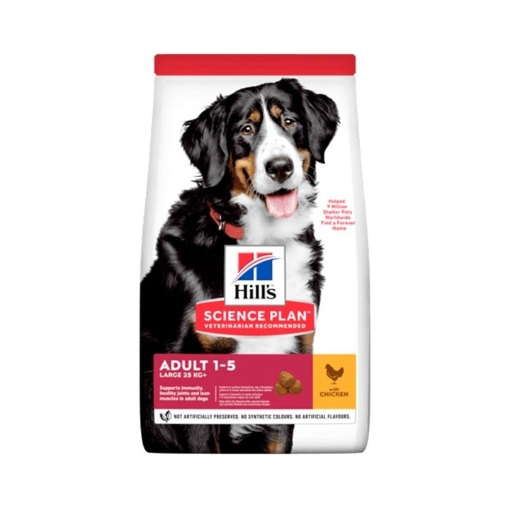 Hill's - Science Plan Adult Large Breed con Pollo 12 kg